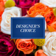 Designers Choice